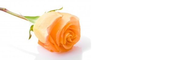 Web content - Simple is better photo Web content - Simple is better